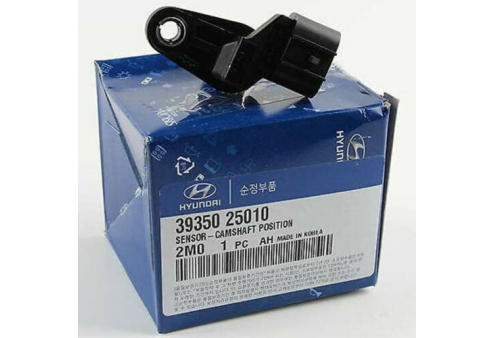 3935025010