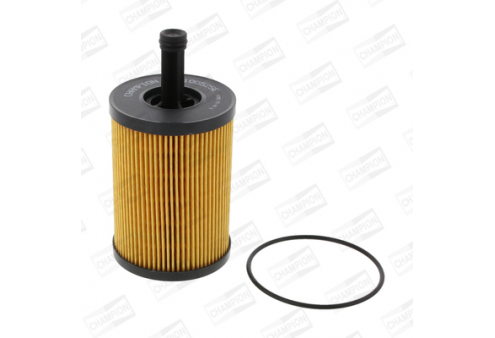 COF100525E COF100525E