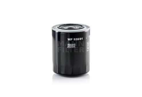 WP_928.81